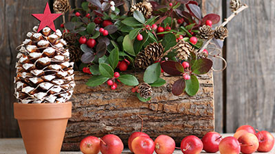 Mini albero con pigna